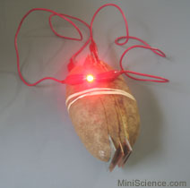 One_Potato_LED